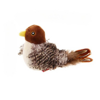 Woodland Sparrow FluffyBird