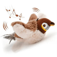 Sparrow FluffyBird